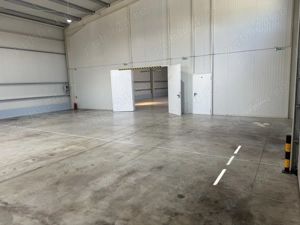 Hala industriala + birouri - imagine 2