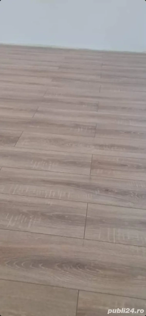 Execut amenajări interioare și exterioare  - imagine 2