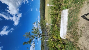 Intravilan Balotesti, Mehedinti