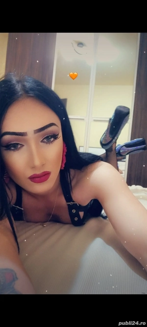 doar show web  - imagine 2