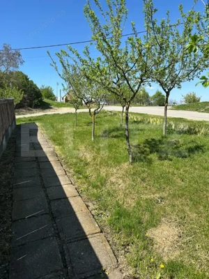 2 case cu teren 1100mp, toate utilitatile, asfalt, Cojocna - imagine 4