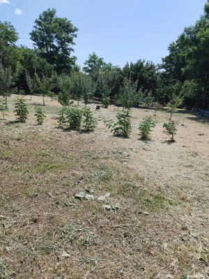 Vand loc de casa - imagine 2