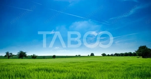 Teren de vanzare 9369 mp langa viitoarea centura Sud a Sibiului