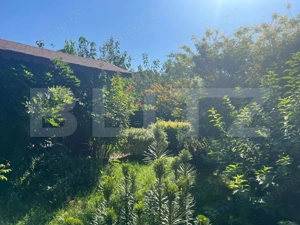 Casă în zonă liniștită – Sângeorgiu de Mureș, 200 mp, teren 500 mp - imagine 7