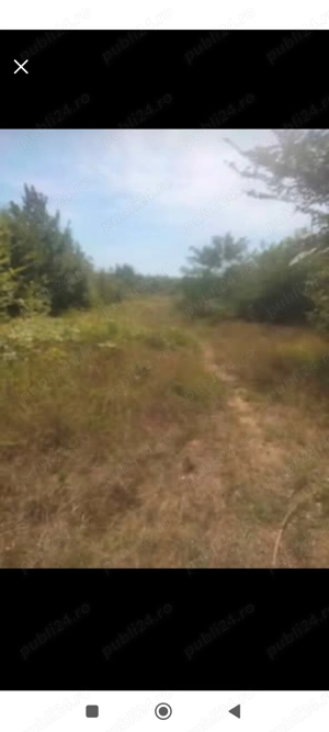 Teren intravilan de vânzare