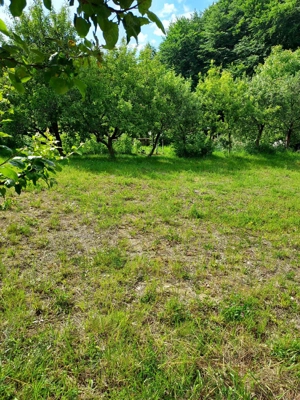 Teren intravilan Faget