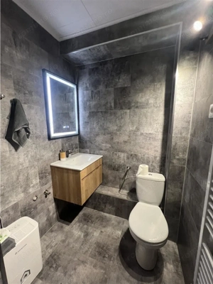 Cabana cu 7 camere 7 bai si teren 1000 mp in Avrig zona Mlaci - imagine 7