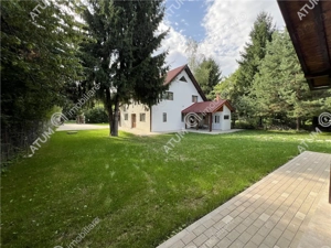 Cabana cu 7 camere 7 bai si teren 1000 mp in Avrig zona Mlaci - imagine 3