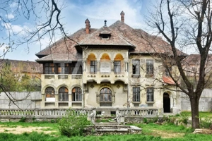 Vila interbelica isi asteapta cu speranta tacuta noul proprietar - imagine 11