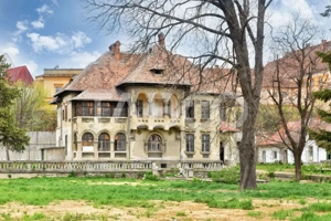 Vila interbelica isi asteapta cu speranta tacuta noul proprietar - imagine 4