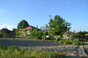 Casa spatioasa, 6 camere, 2 bucatarii + Anexe, Teren 1971mp - imagine 3
