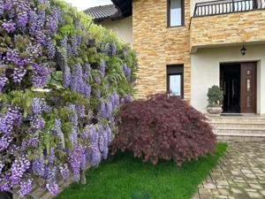 Vilă spectaculoasă de vânzare - Platou Găvana - imagine 10