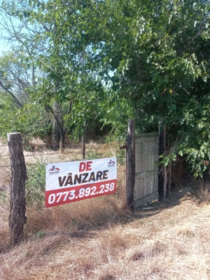 Casa batraneasca  Cilibia - imagine 5