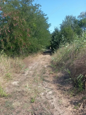 Casa batraneasca  Cilibia - imagine 4