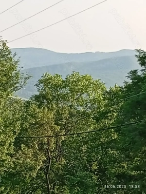 Teren de VIS Daesti Valcea 1600mp altitudine 600m Intravilan UTILITATI, liniste, Sanatate, Relaxare 