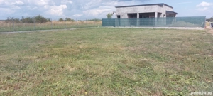 Teren vanzare 500 mp - imagine 2 Teren vanzare 500 mp - imagine 2