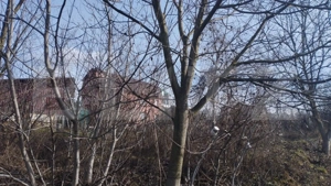 Teren 500 mp, pentru hala industriala, service auto, Calea Frunzisului!