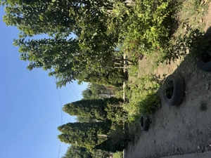 Casă de vânzare în sat Pietreni , jud Constanța  - imagine 10