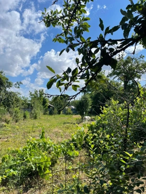 Teren cu casa in comuna Iepuresti, judetul Giurgiu - imagine 3