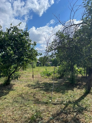 Teren cu casa in comuna Iepuresti, judetul Giurgiu - imagine 4