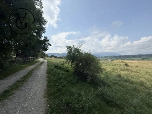 Teren intravilan 500 mp - Tohanul Nou  - imagine 6