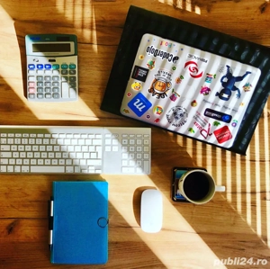 Expert contabil Timisoara