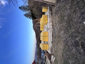 Teren la munte de vânzare  - imagine 3