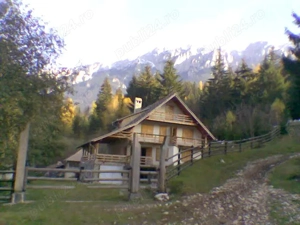 Vanzare Cabana in pitorescul peisaj din Plaiul Foii, Zarnesti Brasov  - imagine 2