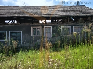 CASA  PITOREASCA DE VANZARE BRANESTI - DAMBOVITA - imagine 6