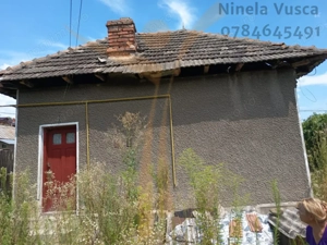 CASA  PITOREASCA DE VANZARE BRANESTI - DAMBOVITA - imagine 5