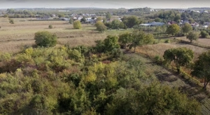 De vanzare - Teren Intravilan Ungureni, Jud. Dambovita - Peste 6000 m2