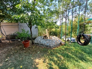 Vând casă în Făget  - imagine 9