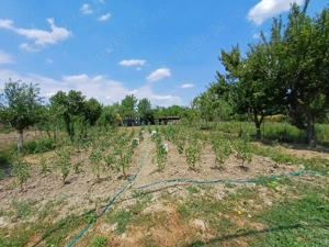 Vând casă în Făget  - imagine 8