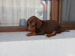 De vanzare  - imagine 4 De vanzare  - imagine 4