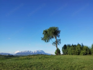 Teren extravilan de vanzare