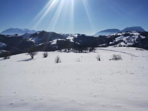 Teren extravilan de vanzare - imagine 5