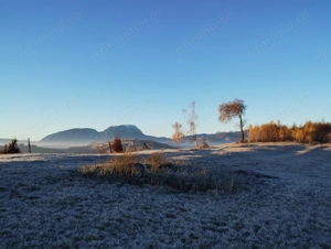 Teren extravilan de vanzare - imagine 6