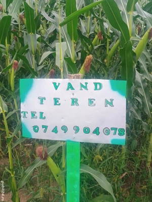 vând teren intravilan  - imagine 2 vând teren intravilan  - imagine 2