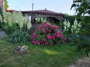 Casa in Comuna Nuci IF - imagine 2