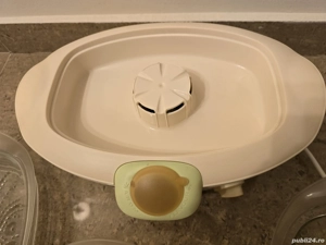 Aparat pentru gatit cu aburi - Steamer Moulinex Exotic Aroma Diffusion - imagine 4