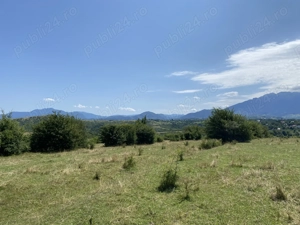 Teren Zărnești Tohanita