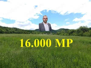 Borlovenii Noi, Teren Drept, 16000mp, la Limita Localitatii