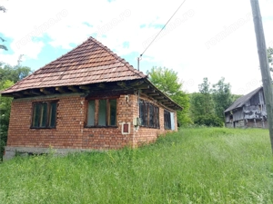 Borlovenii Noi, Teren Drept, 16000mp, la Limita Localitatii - imagine 3