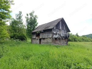 Borlovenii Noi, Teren Drept, 16000mp, la Limita Localitatii - imagine 14