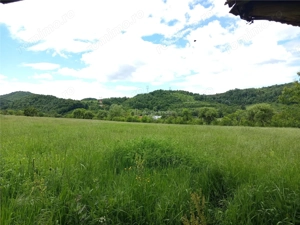 Borlovenii Noi, Teren Drept, 16000mp, la Limita Localitatii - imagine 13