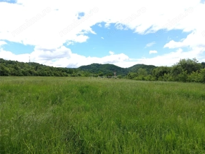 Borlovenii Noi, Teren Drept, 16000mp, la Limita Localitatii - imagine 10