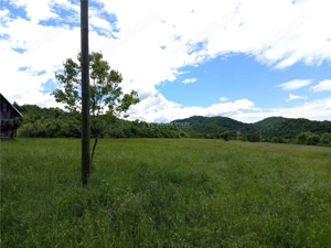 Borlovenii Noi, Teren Drept, 16000mp, la Limita Localitatii - imagine 12