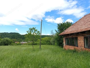 Borlovenii Noi, Teren Drept, 16000mp, la Limita Localitatii - imagine 18