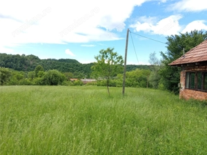 Borlovenii Noi, Teren Drept, 16000mp, la Limita Localitatii - imagine 2