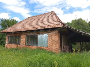 Borlovenii Noi, Teren Drept, 16000mp, la Limita Localitatii - imagine 16